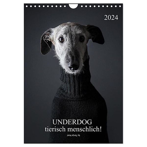 UNDERDOG - Windhundportraits (Wandkalender 2024 DIN A4 hoch), CALVENDO Monatskalender, Tanja Noel
