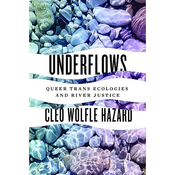 Underflows / Feminist Technosciences, Cleo Wolfle Hazard