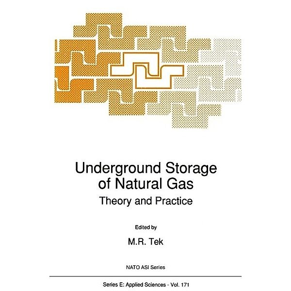 Underground Storage of Natural Gas / NATO Science Series E: Bd.171, M. R. Tek