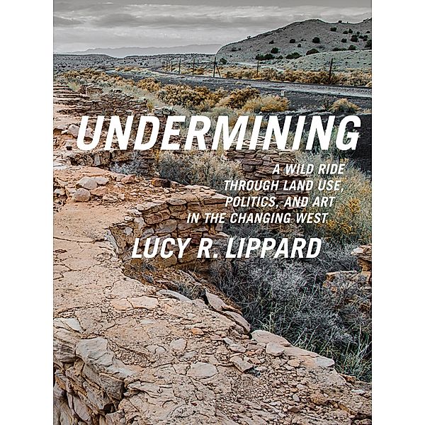 Undermining, Lucy R. Lippard