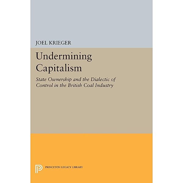 Undermining Capitalism / Princeton Legacy Library Bd.729, Joel Krieger
