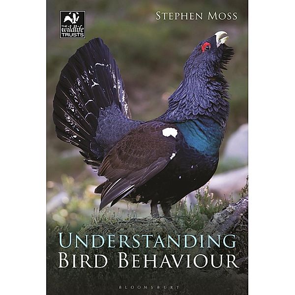 Understanding Bird Behaviour, Stephen Moss