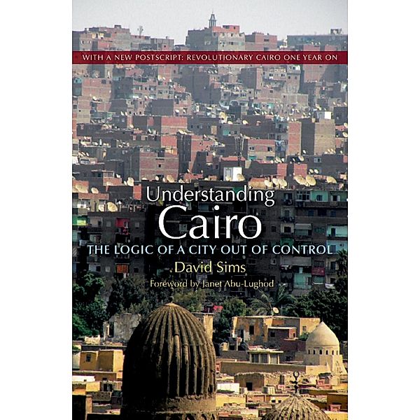 Understanding Cairo, David Sims