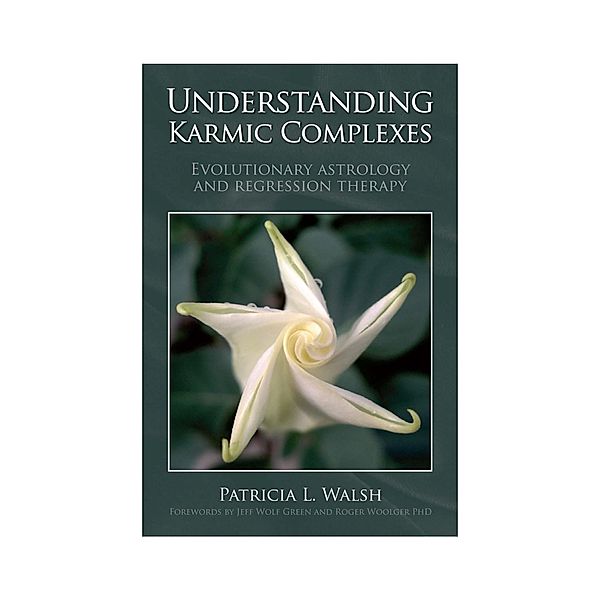 Understanding Karmic Complexes, Patricia L Walsh