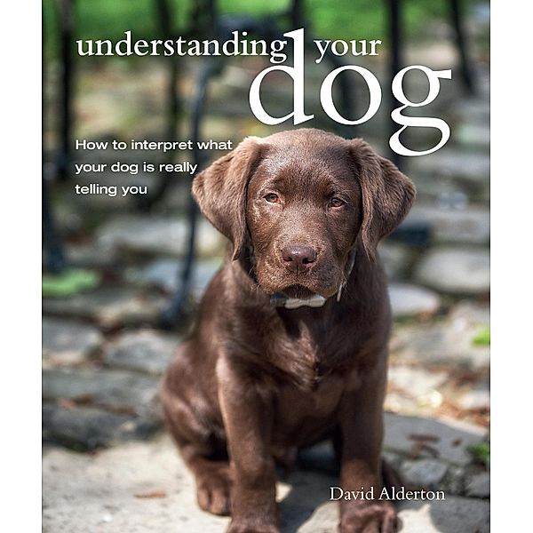 Understanding Your Dog, David Alderton