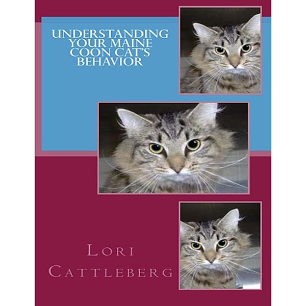 Understanding Your Maine Coon Cat's Behavior, Lori Cattleberg