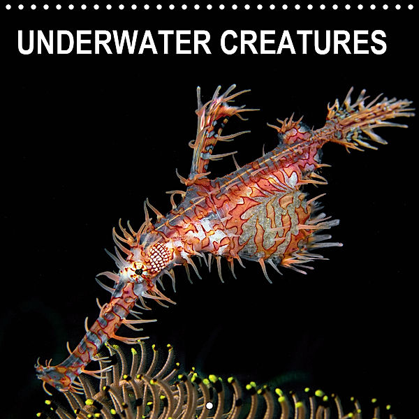 UNDERWATER CREATURES (Wall Calendar 2019 300 × 300 mm Square), Henry Jager