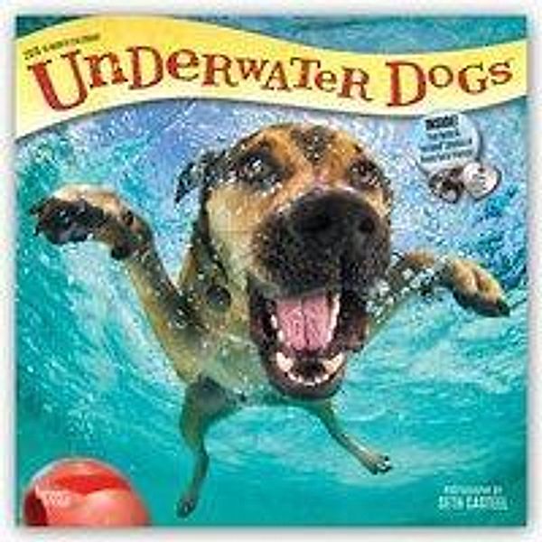 Underwater Dogs 2019 Square, Inc Browntrout Publishers
