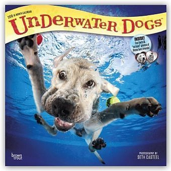 Underwater Dogs - Hunde unter Wasser 2018, BrownTrout Publisher