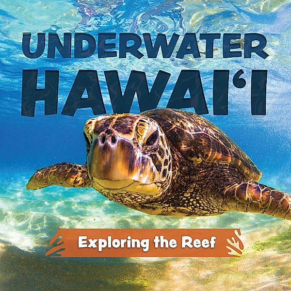 Underwater Hawai'i: Exploring the Reef, Keith Riegert