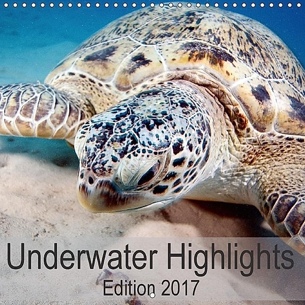 Underwater Highlights Edition 2017 (Wall Calendar 2017 300 × 300 mm Square), Sven Gruse