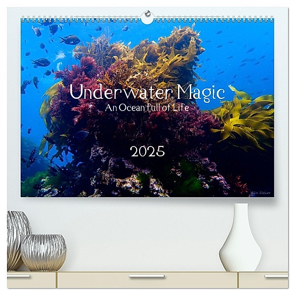 Underwater Magic (hochwertiger Premium Wandkalender 2025 DIN A2 quer), Kunstdruck in Hochglanz, Calvendo, Kira Izabela Kremer