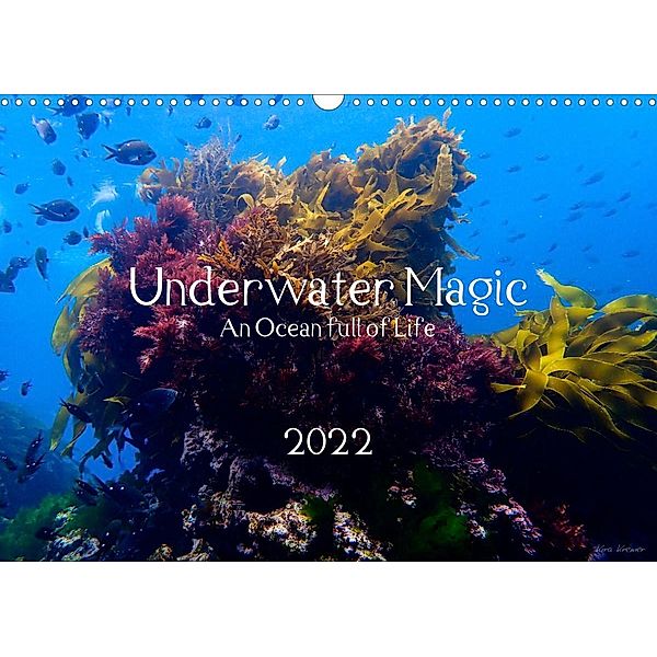 Underwater Magic (Wandkalender 2022 DIN A3 quer), Kira Izabela Kremer