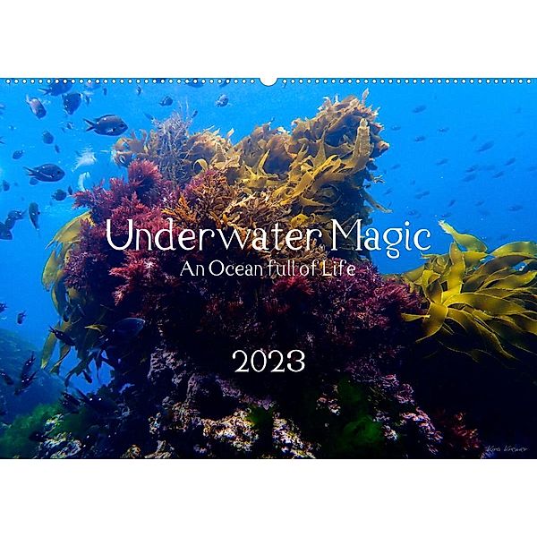 Underwater Magic (Wandkalender 2023 DIN A2 quer), Kira Izabela Kremer