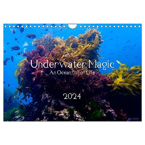Underwater Magic (Wandkalender 2024 DIN A4 quer), CALVENDO Monatskalender, Kira Izabela Kremer