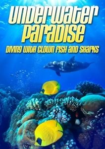 Image of Underwater Paradise: Diving With Clown Fish & Shar