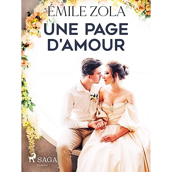 Une Page d'Amour / Les Rougon-Macquart: Histoire naturelle et sociale d'une famille sous le Second Empire Bd.8, Émile Zola