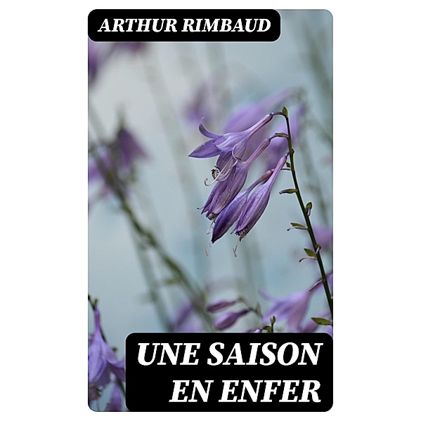 Une saison en enfer, Arthur Rimbaud