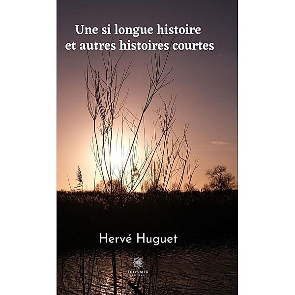 Une si longue histoire et autres histoires courtes, Hervé Huguet