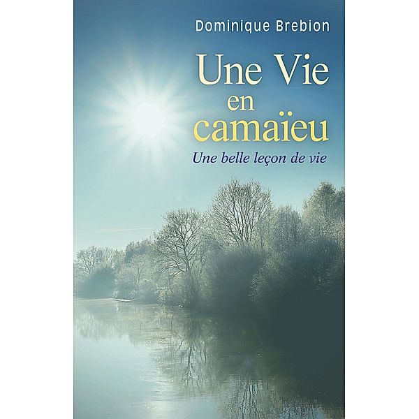 Une Vie en camaieu / Librinova, Brebion Dominique Brebion