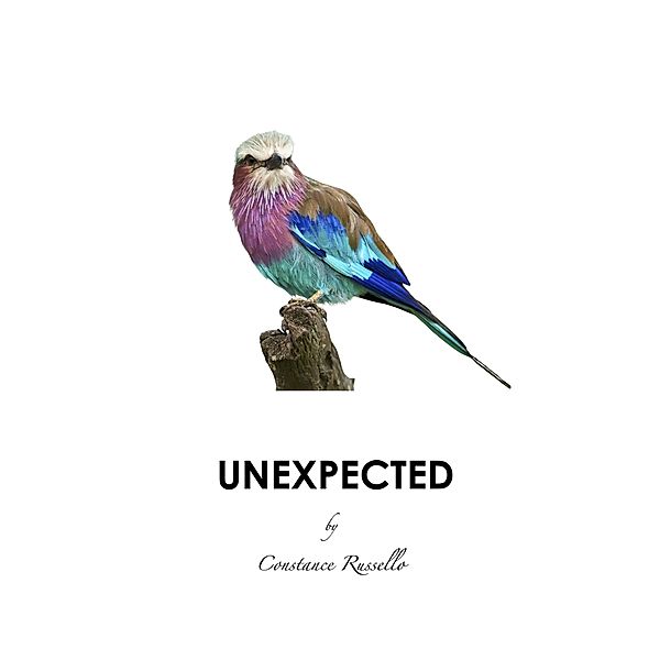 Unexpected (Encounters, #2) / Encounters, Constance Russello