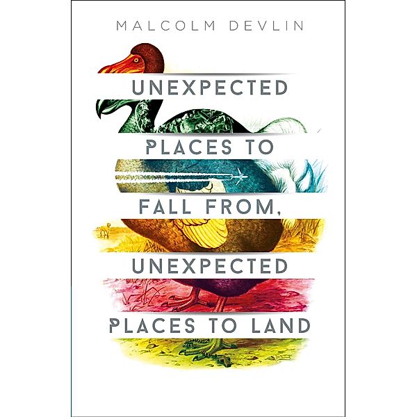 Unexpected Places to Fall From, Unexpected Places to Land, Malcolm Devlin