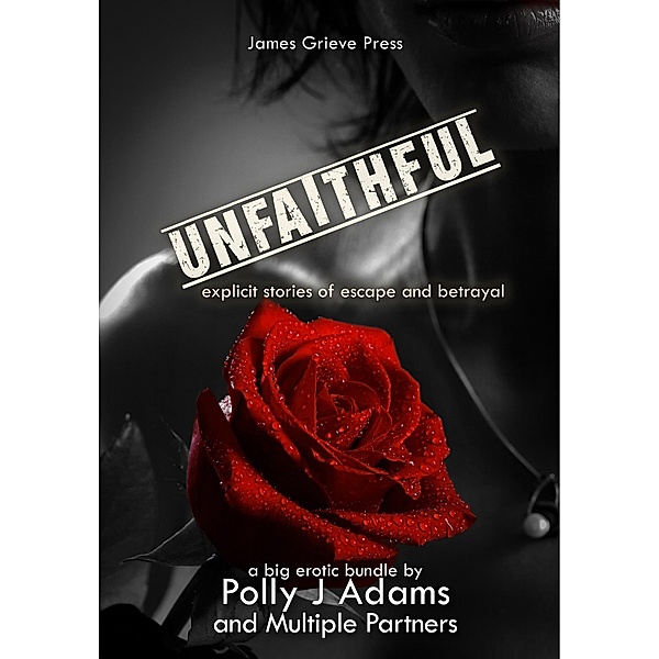 Unfaithful: Explicit Stories of Escape and Betrayal, Polly J Adams