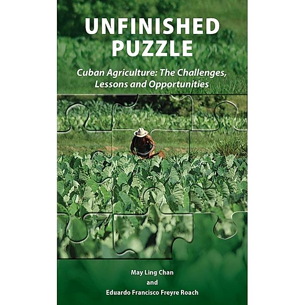 Unfinished Puzzle, May Ling Chan, Eduardo Francisco Freyre Roach