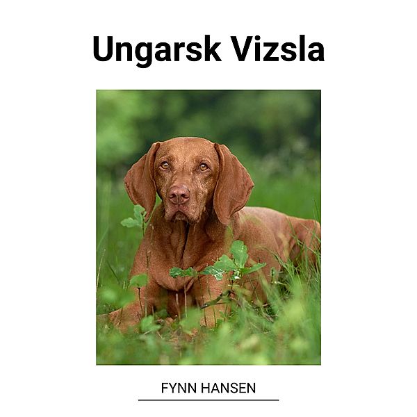 Ungarsk Vizsla, Fynn Hansen