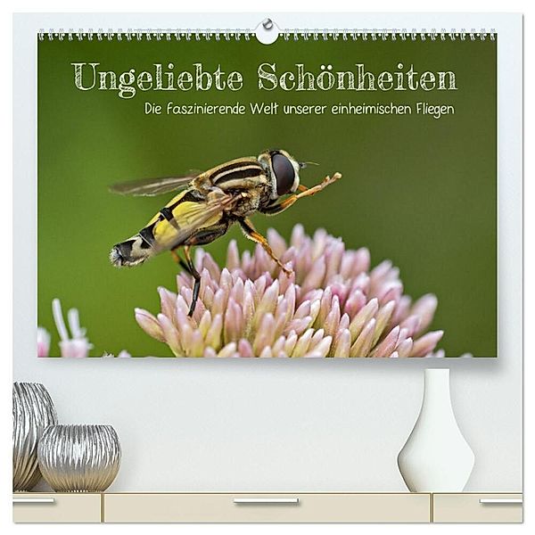 Ungeliebte Schönheiten - die faszinierende Welt unserer heimischen Fliegen (hochwertiger Premium Wandkalender 2024 DIN A2 quer), Kunstdruck in Hochglanz, Leon Uppena