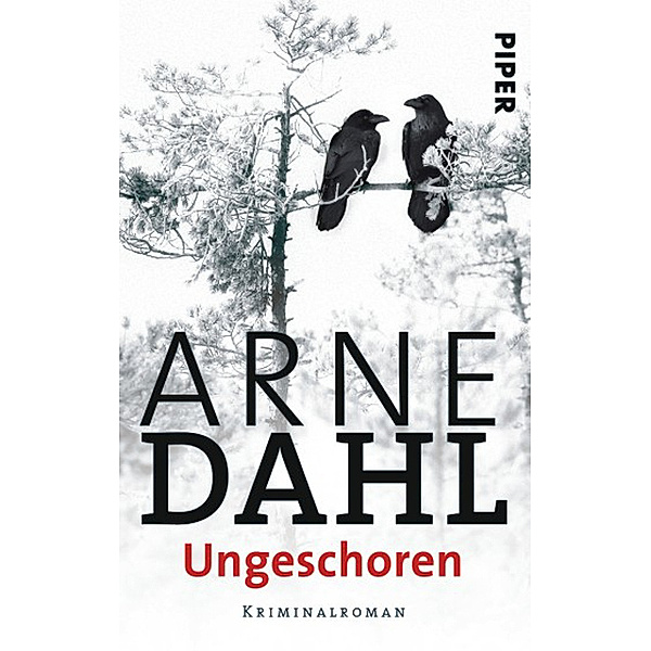 Ungeschoren / A-Gruppe Bd.6, Arne Dahl