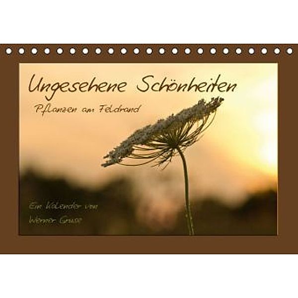 Ungesehene Schönheiten (Tischkalender 2016 DIN A5 quer), Werner Gruse