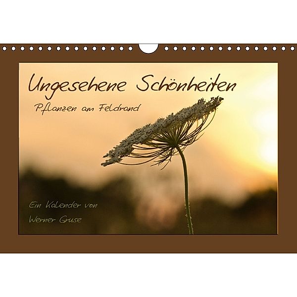 Ungesehene Schönheiten (Wandkalender 2014 DIN A4 quer), Werner Gruse