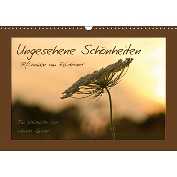 Ungesehene Schönheiten (Wandkalender 2015 DIN A3 quer), Werner Gruse