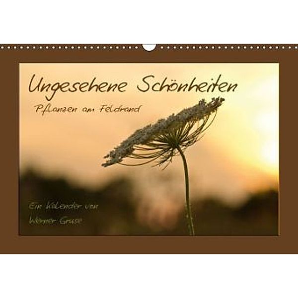 Ungesehene Schönheiten (Wandkalender 2016 DIN A3 quer), Werner Gruse