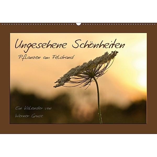 Ungesehene Schönheiten (Wandkalender 2018 DIN A2 quer), Werner Gruse
