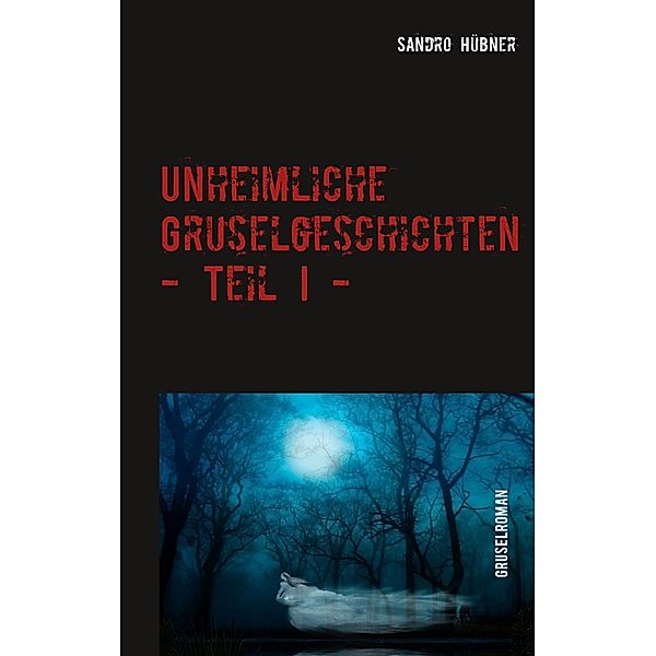 Unheimliche Gruselgeschichten - Teil I -, Sandro Hübner