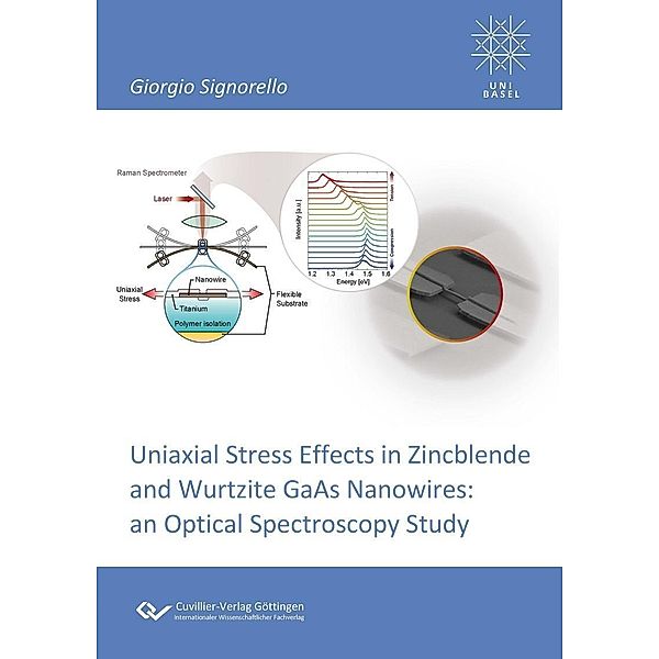 Uniaxial Stress Effects in Zincblende and Wurtzite GaAs Nanowires