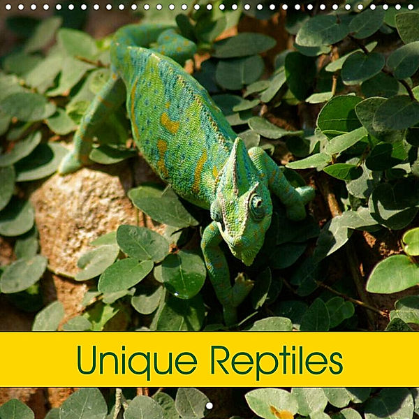 Unique Reptiles (Wall Calendar 2023 300 × 300 mm Square), Kattobello