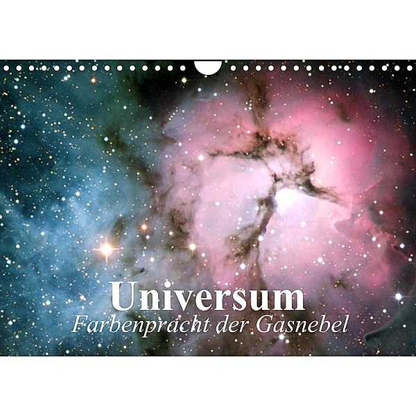 Universum. Farbenpracht der Gasnebel (Wandkalender 2023 DIN A4 quer), Elisabeth Stanzer