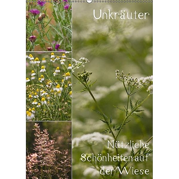 Unkräuter - Nützliche Schönheiten auf der Wiese (Wandkalender 2017 DIN A2 hoch), Drachenkind-Fotografie