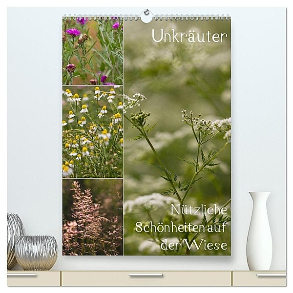 Unkräuter - Nützliche Schönheiten auf der Wiese (hochwertiger Premium Wandkalender 2024 DIN A2 hoch), Kunstdruck in Hochglanz, Drachenkind-Fotografie