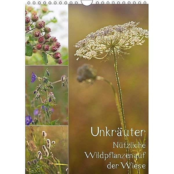 Unkräuter - Nützliche Wildpflanzen auf der Wiese (Wandkalender 2017 DIN A4 hoch), Drachenkind-Fotografie