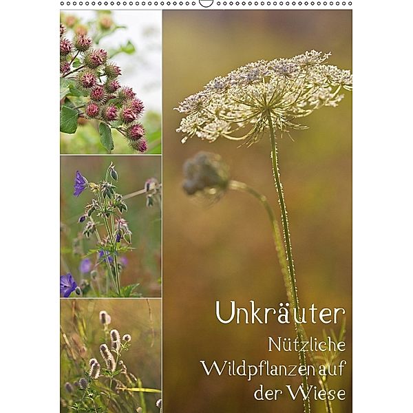 Unkräuter - Nützliche Wildpflanzen auf der Wiese (Wandkalender 2018 DIN A2 hoch) Dieser erfolgreiche Kalender wurde dies, Drachenkind-Fotografie