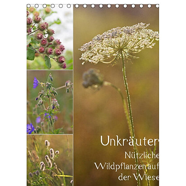 Unkräuter - Nützliche Wildpflanzen auf der Wiese (Tischkalender 2022 DIN A5 hoch), Drachenkind-Fotografie