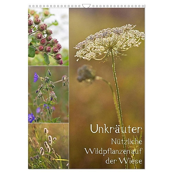 Unkräuter - Nützliche Wildpflanzen auf der Wiese (Wandkalender 2024 DIN A3 hoch), CALVENDO Monatskalender, Drachenkind-Fotografie