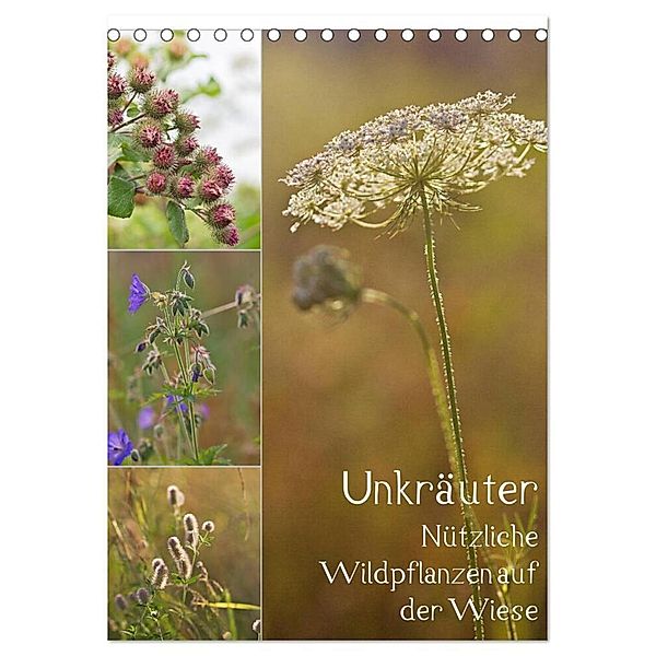 Unkräuter - Nützliche Wildpflanzen auf der Wiese (Tischkalender 2024 DIN A5 hoch), CALVENDO Monatskalender, Drachenkind-Fotografie