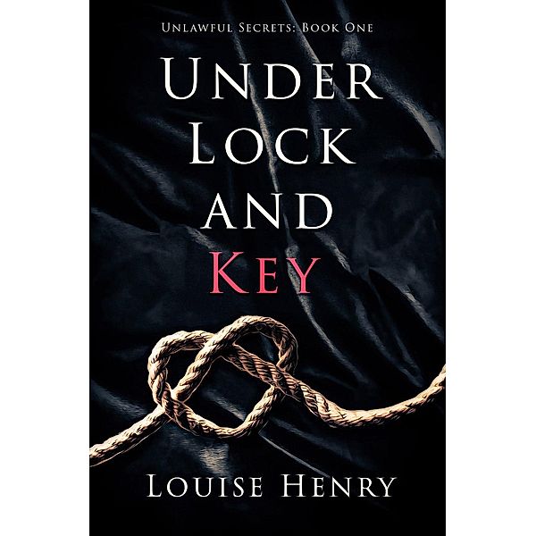 Unlawful Secrets, Book 1: Under Lock and Key (Unlawful Secrets, Book 1), Louise Henry