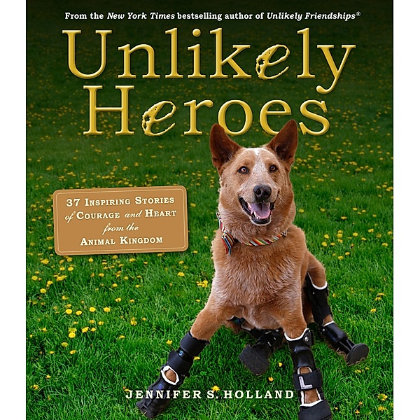 Unlikely Heroes / Unlikely Friendships, Jennifer S. Holland