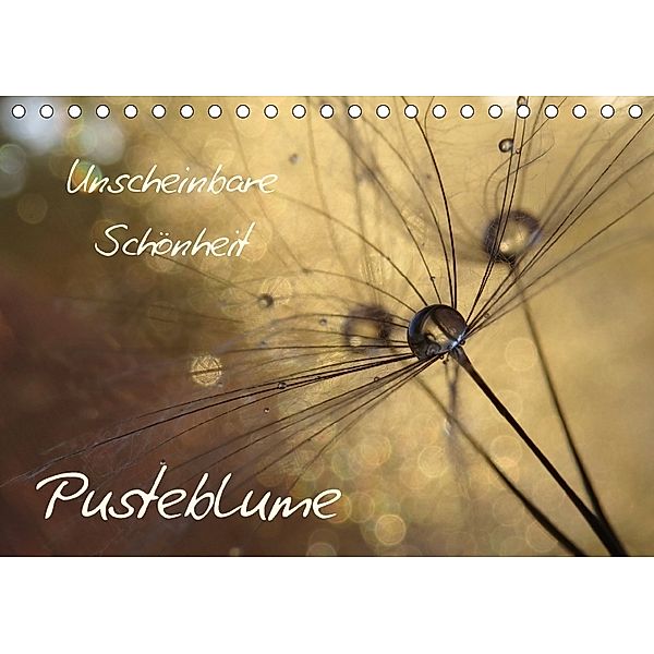 Unscheinbare Schönheit - Pusteblume (Tischkalender 2018 DIN A5 quer), Judith Doberstein